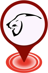 Pin