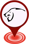 Pin